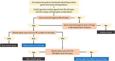 GeneMarkeR: A Database and User Interface for scRNA-seq Marker Genes